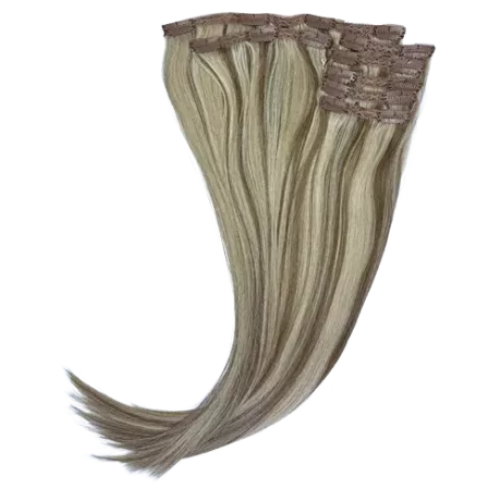 Aligned Straight Clip Ins image