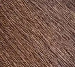 Abundance Curl Bulk Hair